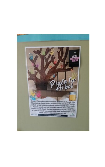 Pinta tu árbol