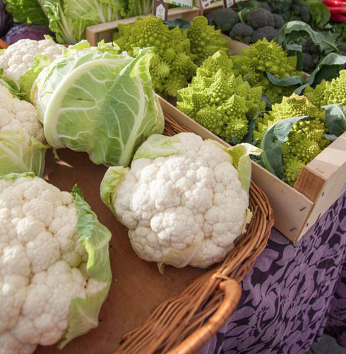 Nuestro ciclo de F.P. de Producción Agroecológica